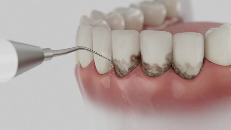 Reliable Dental contractor in Lake Arrowhead, ME by Dentist Open Now